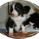 Aiko of Sunshinegarden