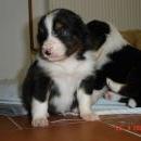 Aiko of Sunshinegarden