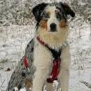 Hoffnung`s blue Sunshine    Ayla