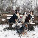 Hoffnung`s blue Sunshine    Ayla