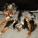 Hoffnung`s blue Sunshine    Ayla