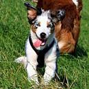 Hoffnung`s blue Sunshine    Ayla