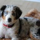 Hoffnung`s blue Sunshine    Ayla