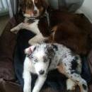 Hoffnung`s blue Sunshine    Ayla