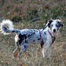 Hoffnung`s blue Sunshine    Ayla