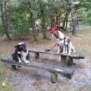 Hoffnung`s blue Sunshine    Ayla