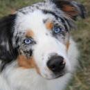 Hoffnung`s blue Sunshine    Ayla