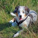 Hoffnung`s blue Sunshine    Ayla