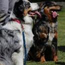 Hoffnung`s blue Sunshine    Ayla