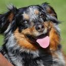 Hoffnung`s blue Sunshine    Ayla