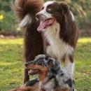 Hoffnung`s blue Sunshine    Ayla