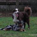 Hoffnung`s blue Sunshine    Ayla