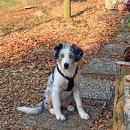 Hoffnung`s blue Sunshine    Ayla