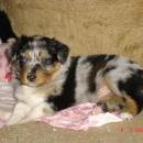 Asya of Sunshinegarden