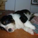 Aiko of Sunshinegarden