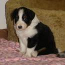 Aiko of Sunshinegarden