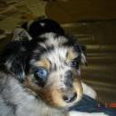 Asya of Sunshinegarden