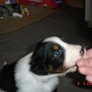 Aiko of Sunshinegarden