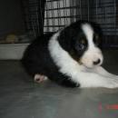 Aiko of Sunshinegarden