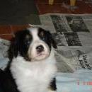 Aiko of Sunshinegarden