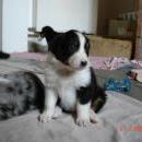 Aiko of Sunshinegarden