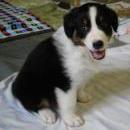 Aiko of Sunshinegarden