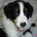 Aiko of Sunshinegarden