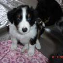 Aiko of Sunshinegarden