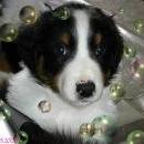 Aiko of Sunshinegarden