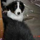 Aiko of Sunshinegarden