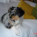 Asya of Sunshinegarden