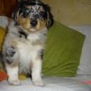 Asya of Sunshinegarden