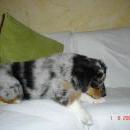 Asya of Sunshinegarden