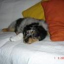 Asya of Sunshinegarden