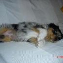 Asya of Sunshinegarden