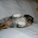 Asya of Sunshinegarden