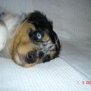 Asya of Sunshinegarden