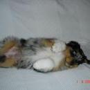 Asya of Sunshinegarden