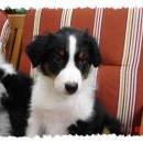 Aiko of Sunshinegarden