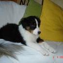 Aiko of Sunshinegarden