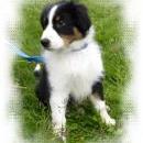 Aiko of Sunshinegarden