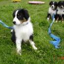 Aiko of Sunshinegarden