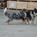 Celine und Akiba-März 2010