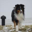 Celine und Akiba-März 2010