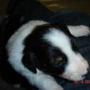 Aiko of Sunshinegarden