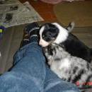 Aiko of Sunshinegarden