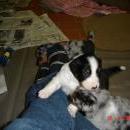 Aiko of Sunshinegarden