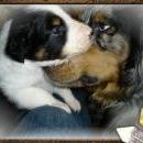 Aiko of Sunshinegarden