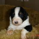 Aiko of Sunshinegarden