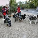 Welpentreff 20/21.10.2007 in Krems